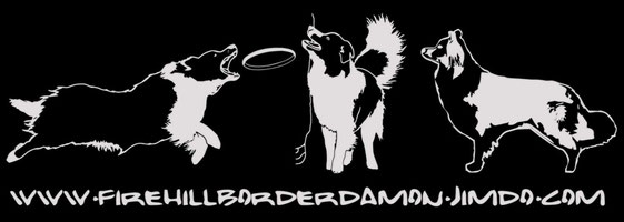 Firehillborderdemon
